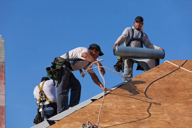 Best Storm Damage Roof Repair  in Dorneyville, PA